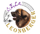 Club Español del Leonberger