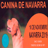 Navarra 2020